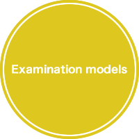Examination models