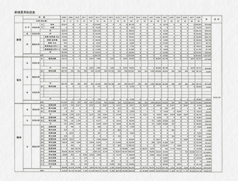 Medium- and long-term repair schemes (table)