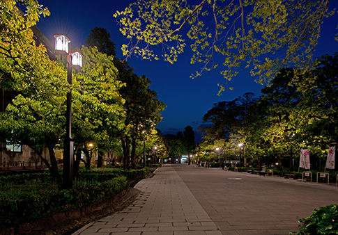 パーパスロード夜景