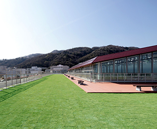 既存の芝生広場を再現した屋上芝生広場