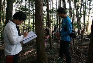 林分調査の様子