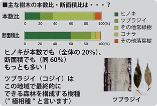 調査の分析結果
