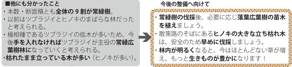 調査の分析結果