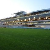 日本中央競馬会　函館競馬場