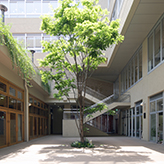 学校法人武蔵野東学園　北原記念館